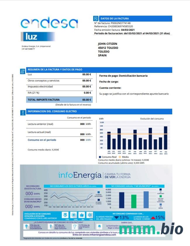 Hiszpania Endesa luz szablon rachunku za media w formacie Word i PDF